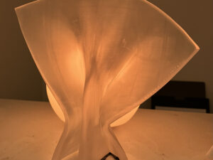 3D Prints – The Evolution of New Forms