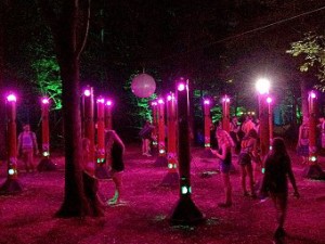 Sonic Forest Tour